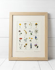 Pressed Flower Prints
