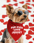 Jersey Dog Bandanas