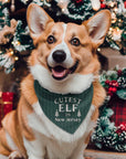 Holiday Jersey Dog Bandanas