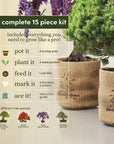 Bonsai Growing Kit