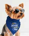 Holiday Jersey Dog Bandanas - Hanukkah- Nice Jewish Jersey Dog / Small