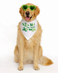Jersey Dog Bandanas - Kiss Me I’m From Jersey / Small