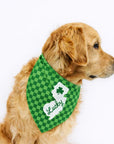 Jersey Dog Bandanas - Lucky to be a Jersey Dog / Small