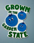 Jersey-Themed Fridge Magnet - Grown in the Garden State - Blueberries - Home & Garden