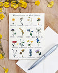 NJ-Themed Floral Greeting Cards - Wildflowers of NJ - Books & Cards