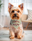 Holiday Jersey Dog Bandanas