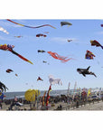 New Jersey Themed Jigsaw Puzzles - High Flying Kites - Books & Cards