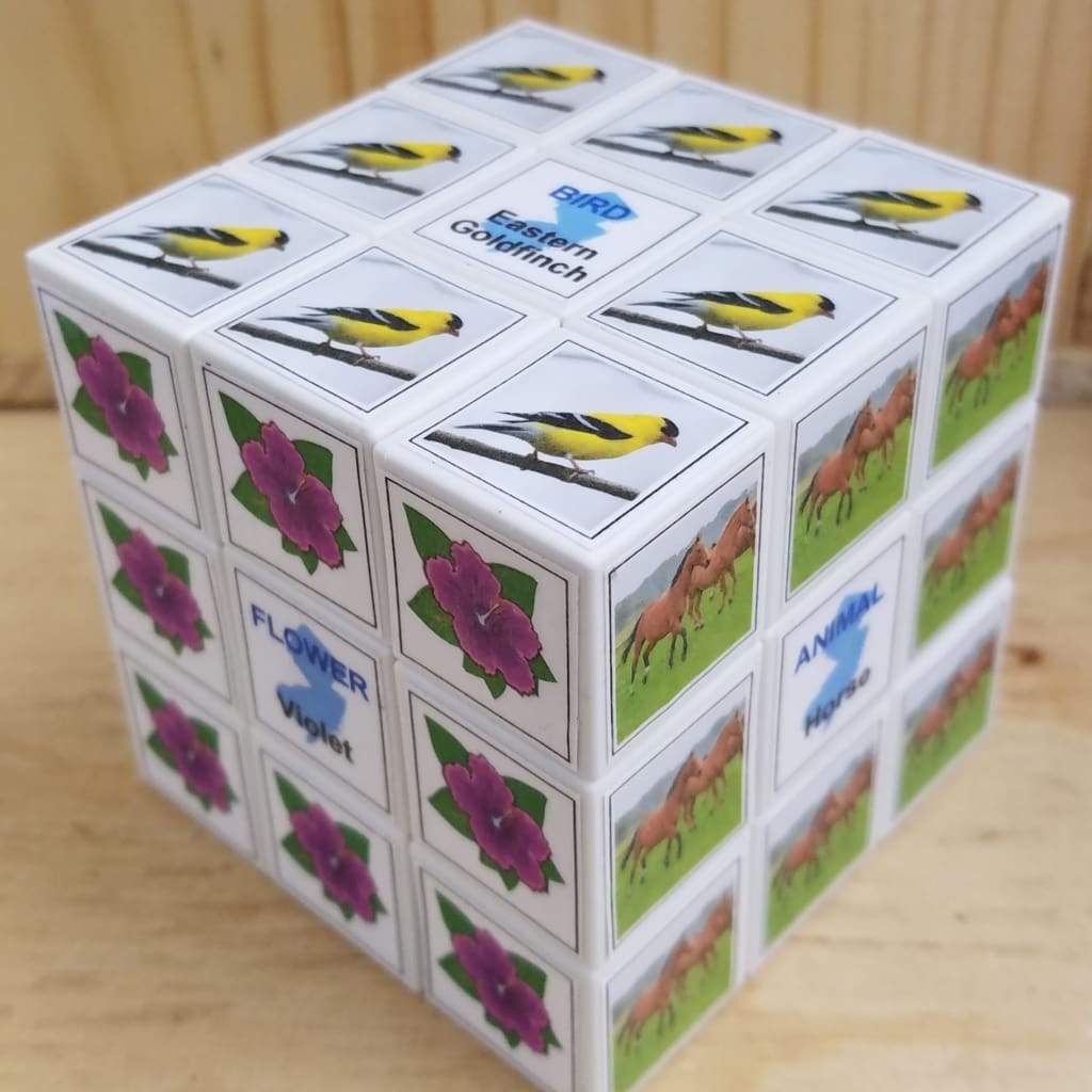 3x3 Puzzle Cube - State Symbols - Home &amp; Lifestyle