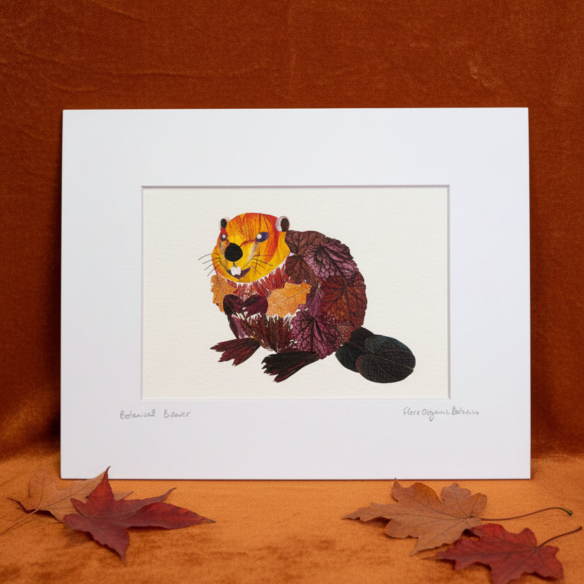 Matted Signed 8" x 10" Pressed Flower Prints