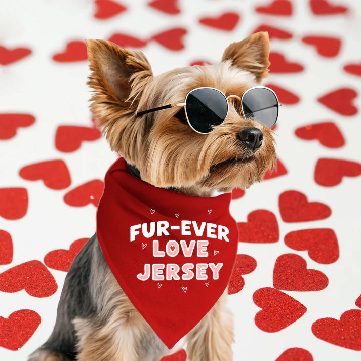 Jersey Dog Bandanas
