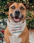 Holiday Jersey Dog Bandanas