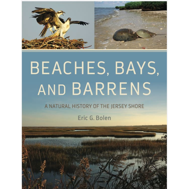 Beaches Bays and Barrens