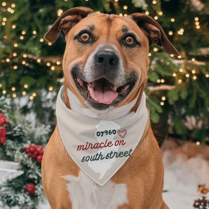 Holiday Jersey Dog Bandanas - Christmas - 07960 Miracle on South Street / Small