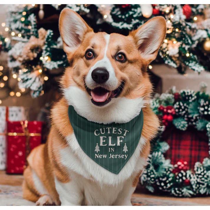 Holiday Jersey Dog Bandanas - Christmas - Cutest Elf in New Jersey / Small
