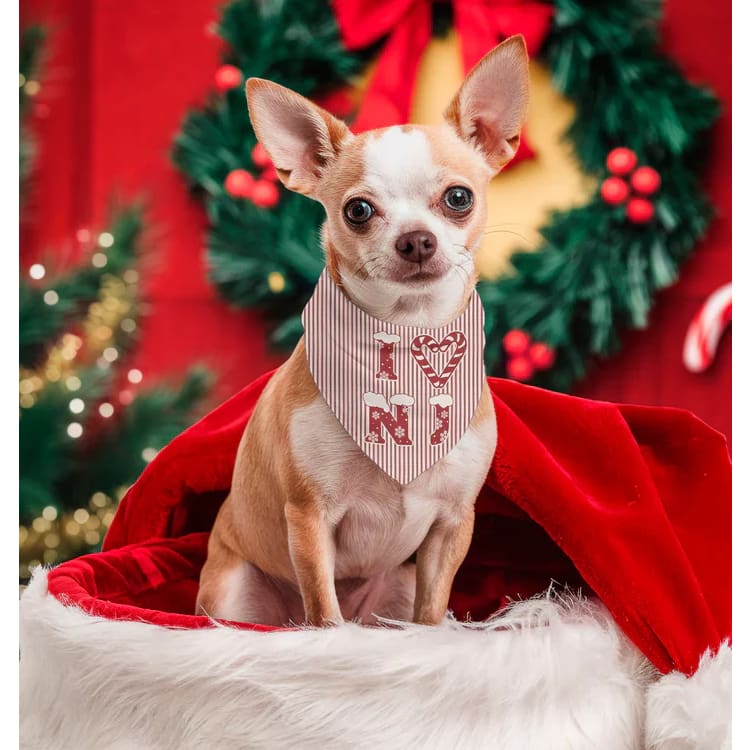 Holiday Jersey Dog Bandanas - Christmas - I Heart NJ Candy Canes / Small