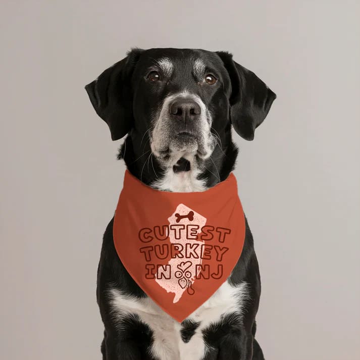 Holiday Jersey Dog Bandanas