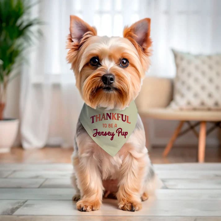 Holiday Jersey Dog Bandanas