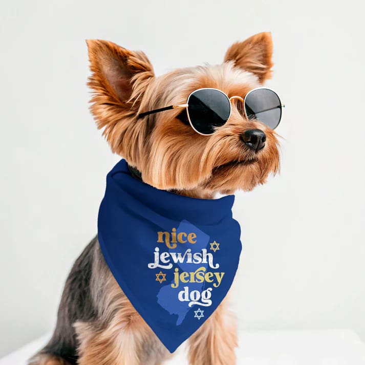 Holiday Jersey Dog Bandanas - Hanukkah- Nice Jewish Jersey Dog / Small