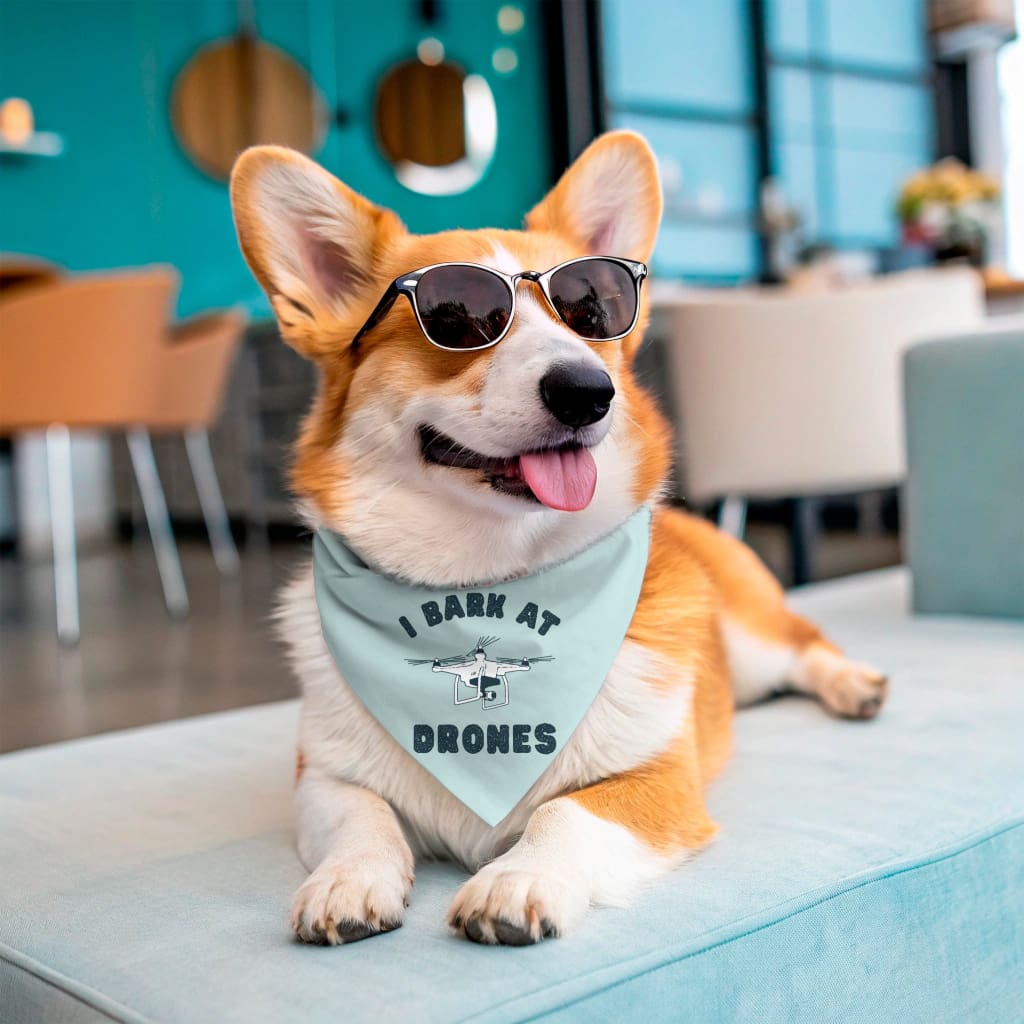 Jersey Dog Bandanas - I Bark at Drones / Small