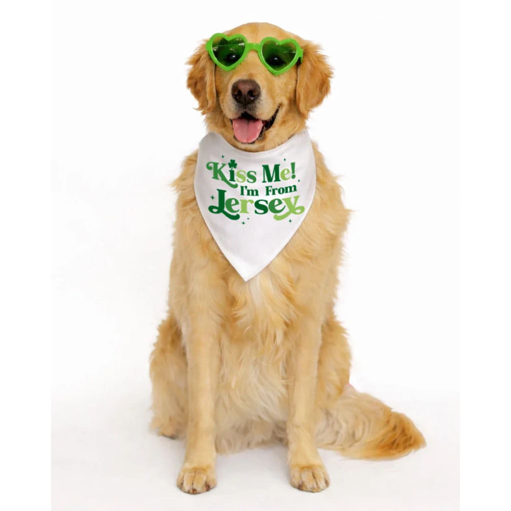 Jersey Dog Bandanas - Kiss Me I’m From Jersey / Small