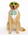 Jersey Dog Bandanas - Kiss Me I’m From Jersey / Small