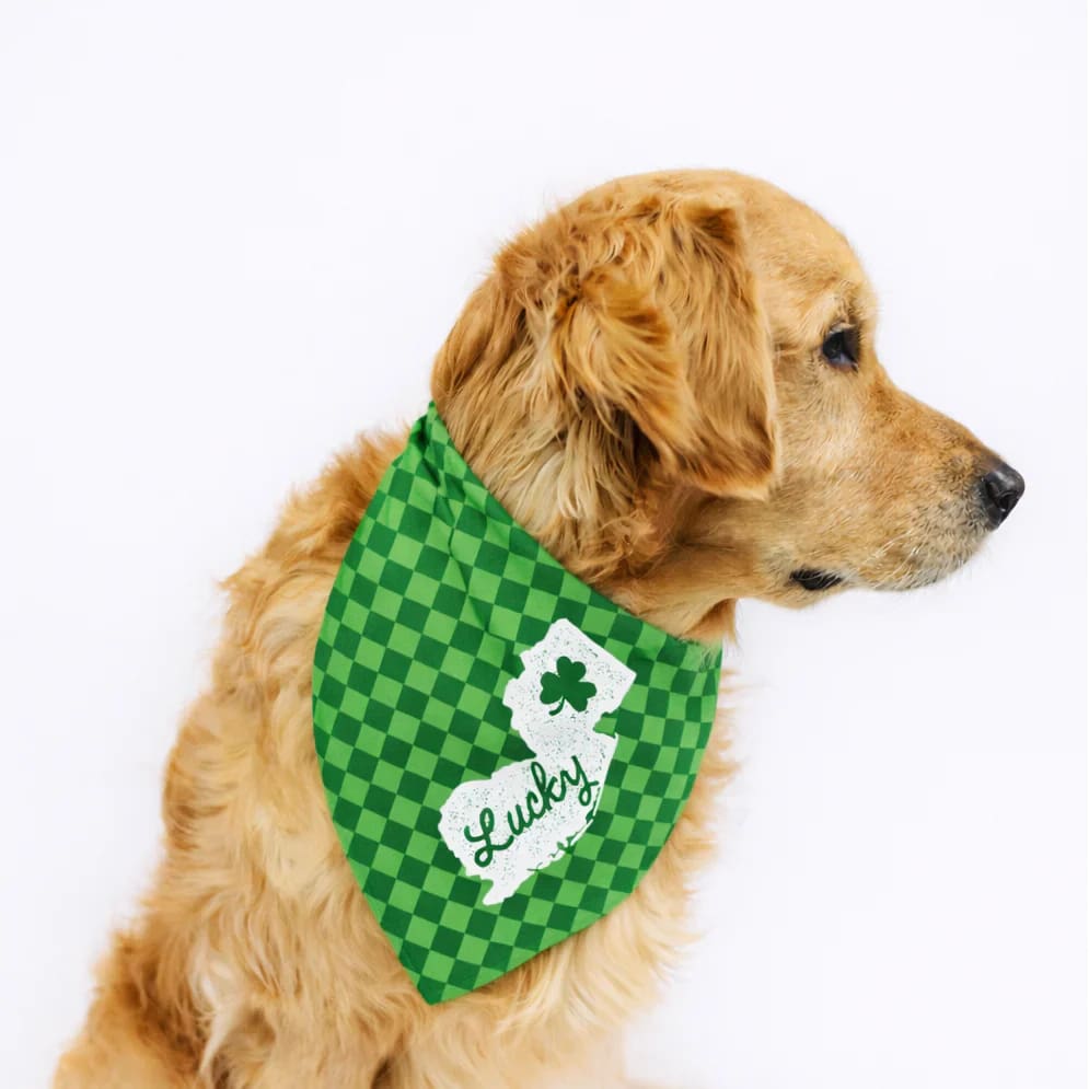 Jersey Dog Bandanas - Lucky to be a Jersey Dog / Small