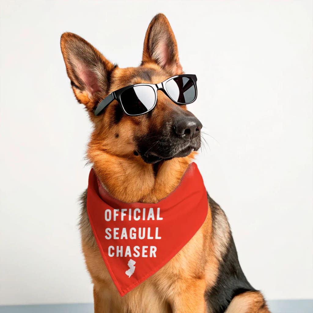 Jersey Dog Bandanas - Official Seagull Chaser / Small