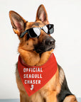 Jersey Dog Bandanas - Official Seagull Chaser / Small