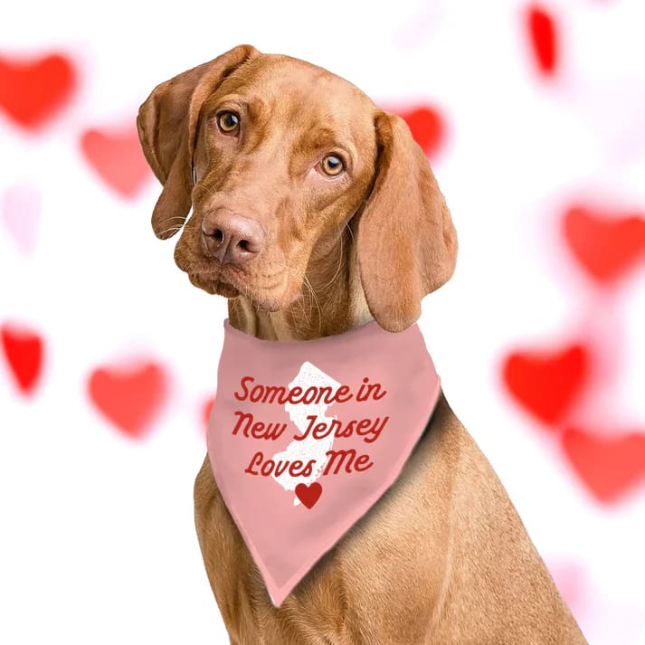 Jersey Dog Bandanas - Someone in New Jersey Loves Me (Pink) / Small