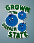 Jersey-Themed Fridge Magnet - Grown in the Garden State - Blueberries - Home & Garden