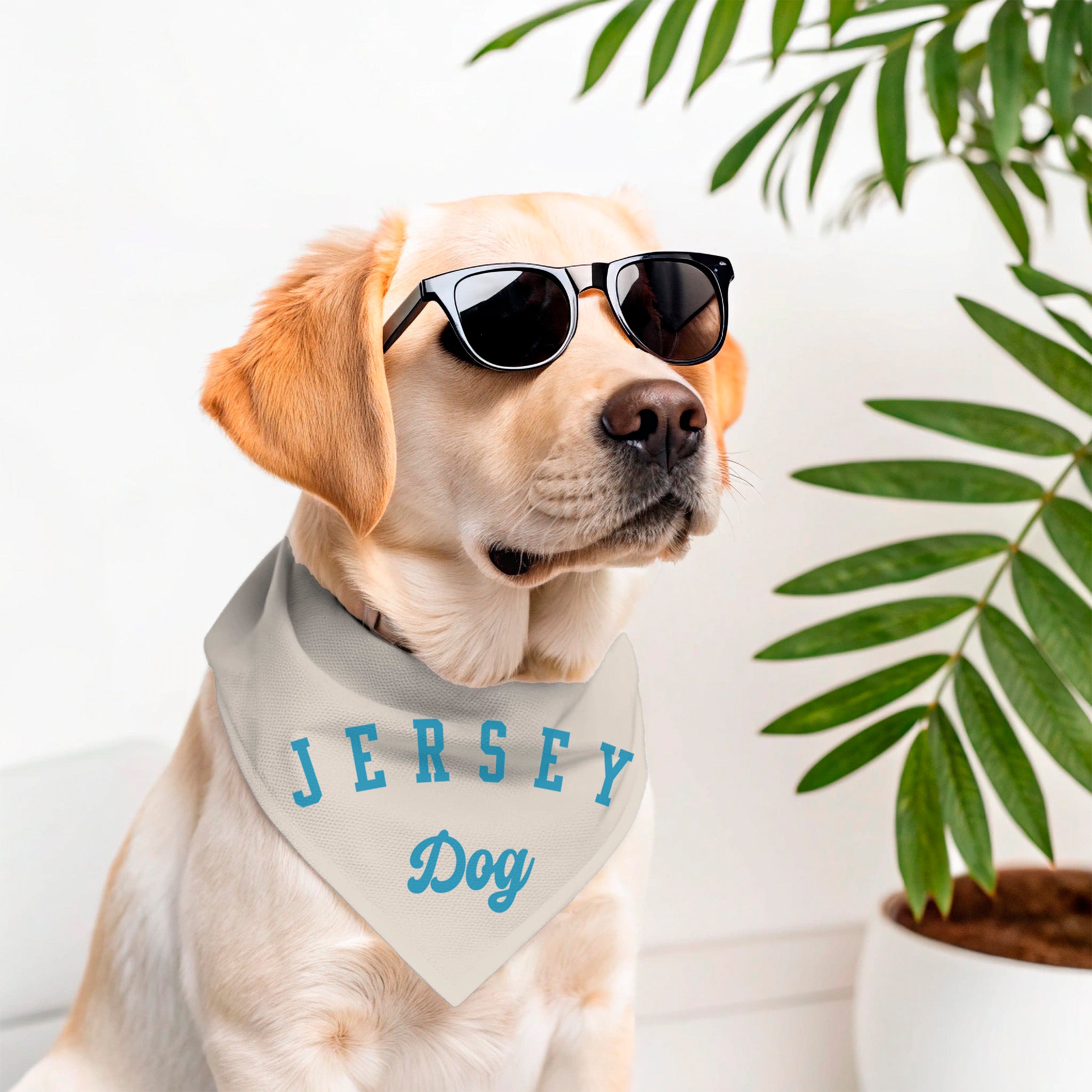 Jersey Dog Bandanas