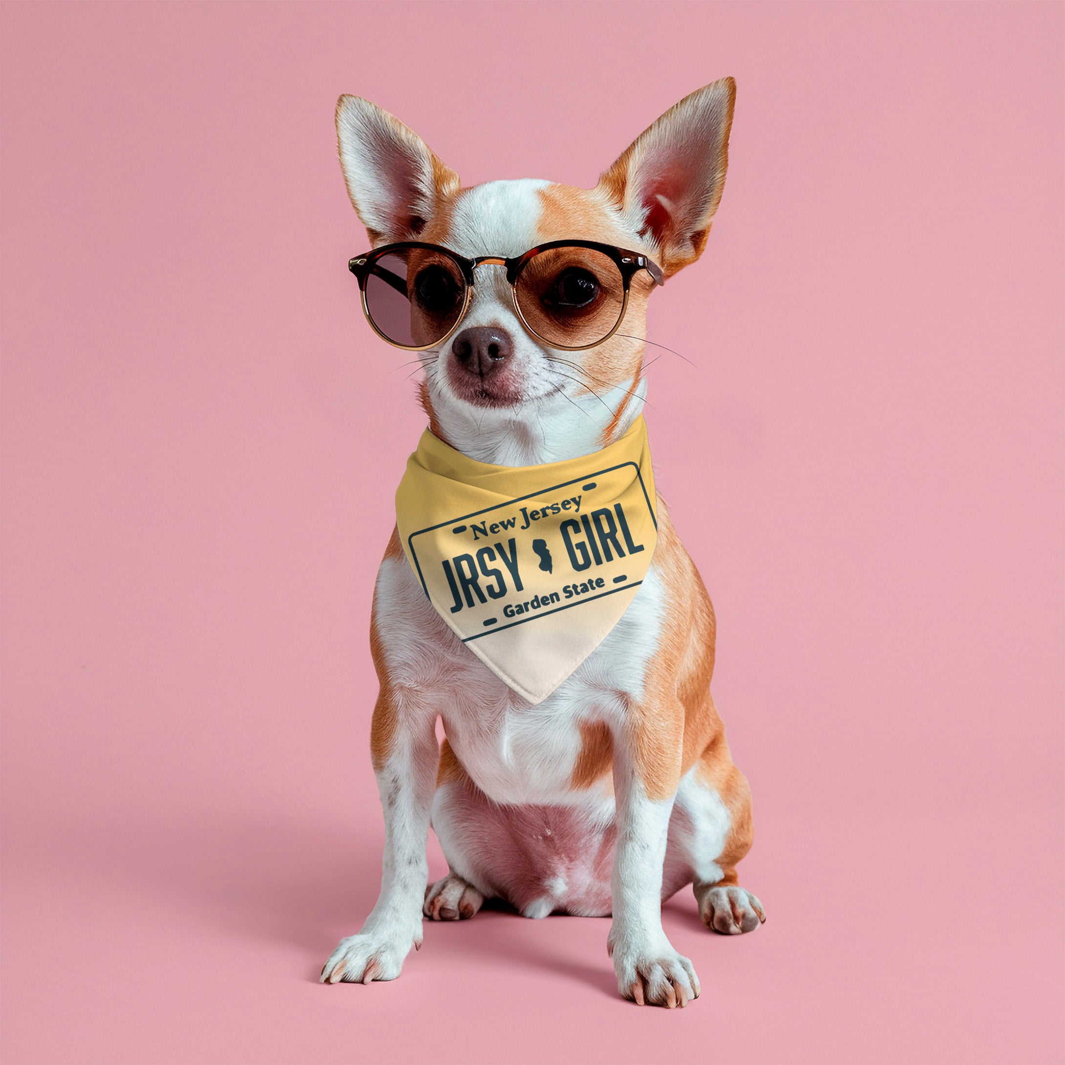 Jersey Dog Bandanas