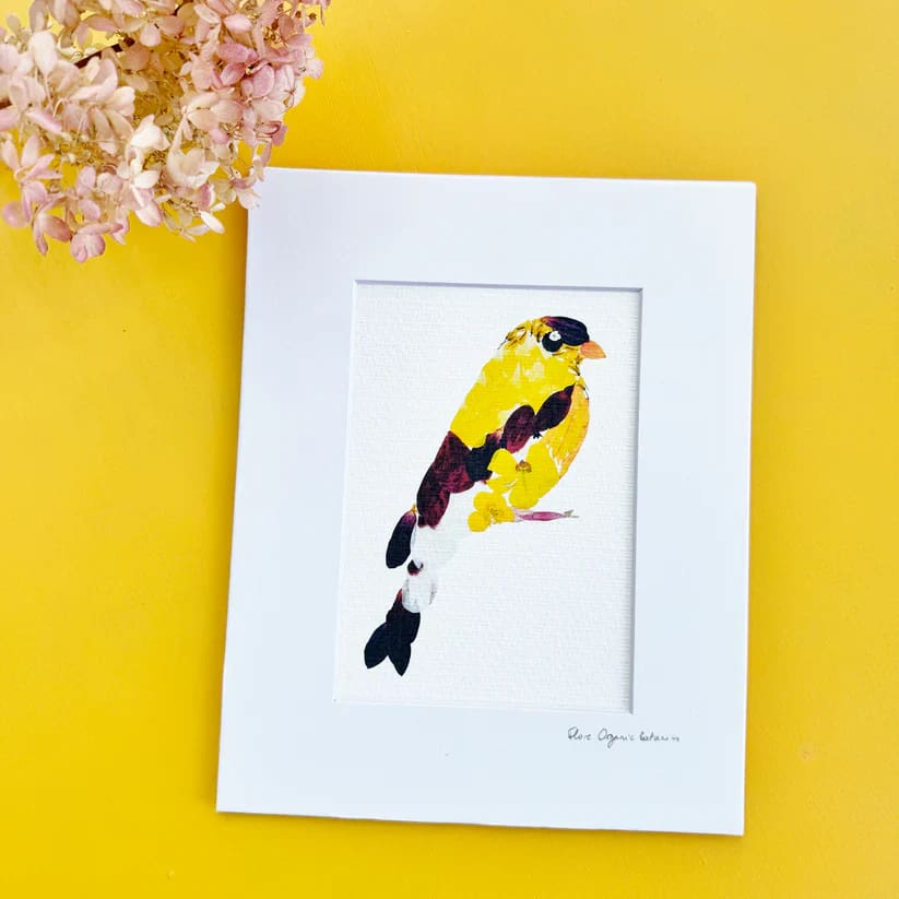NJ-Themed 8’’ x 10’’ Signed Matted Floral Prints - Floral Goldfinch - NJ State Bird - Prints & Artwork