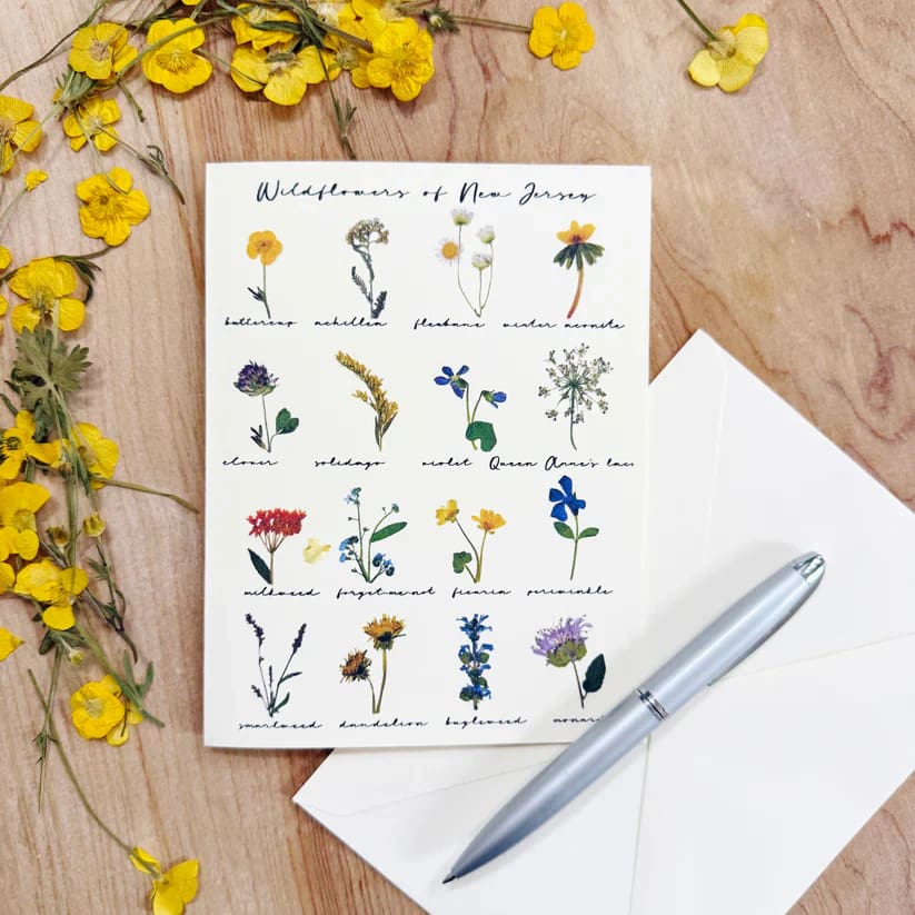 NJ-Themed Floral Greeting Cards - Wildflowers of NJ - Books & Cards