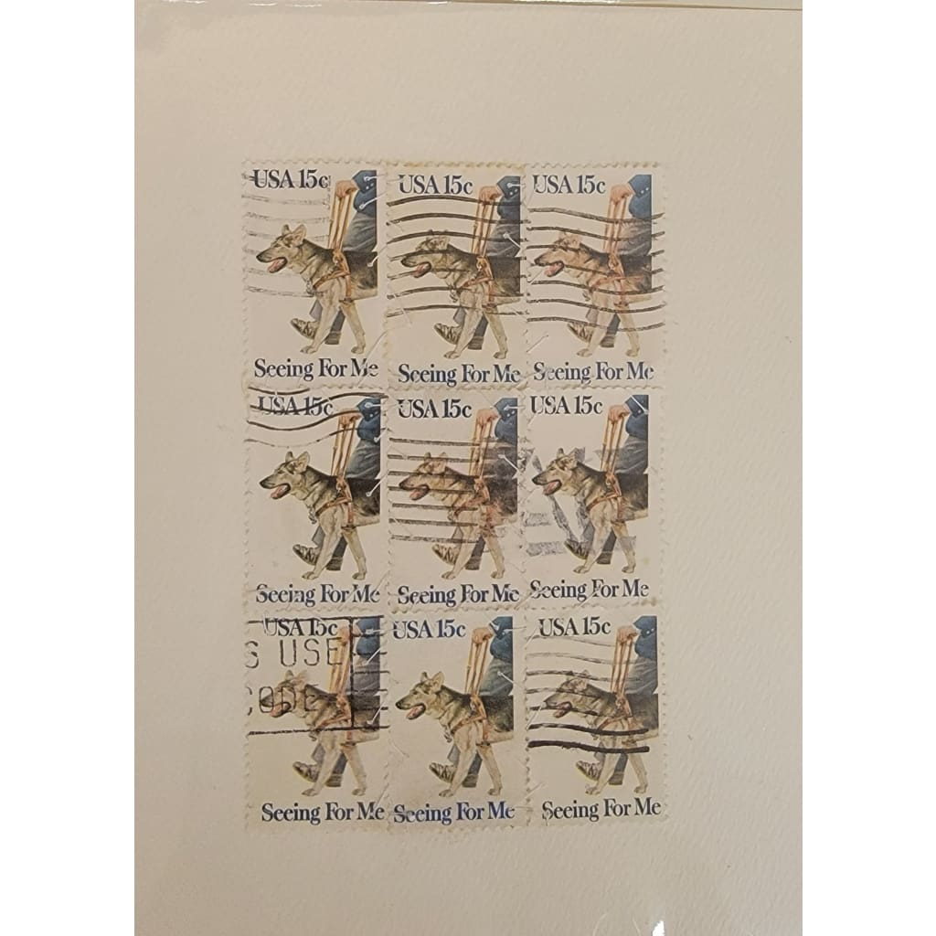 Seeing Eye Dog Greeting Card - Books & Cards