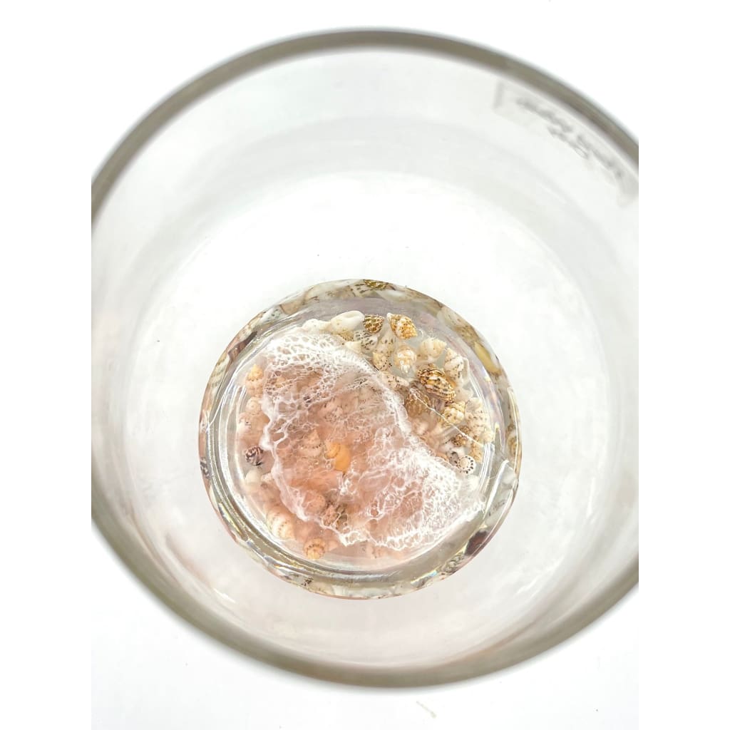 Sunset Stemless Wine Glasses - With Shells - Housewares