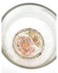 Sunset Stemless Wine Glasses - With Shells - Housewares