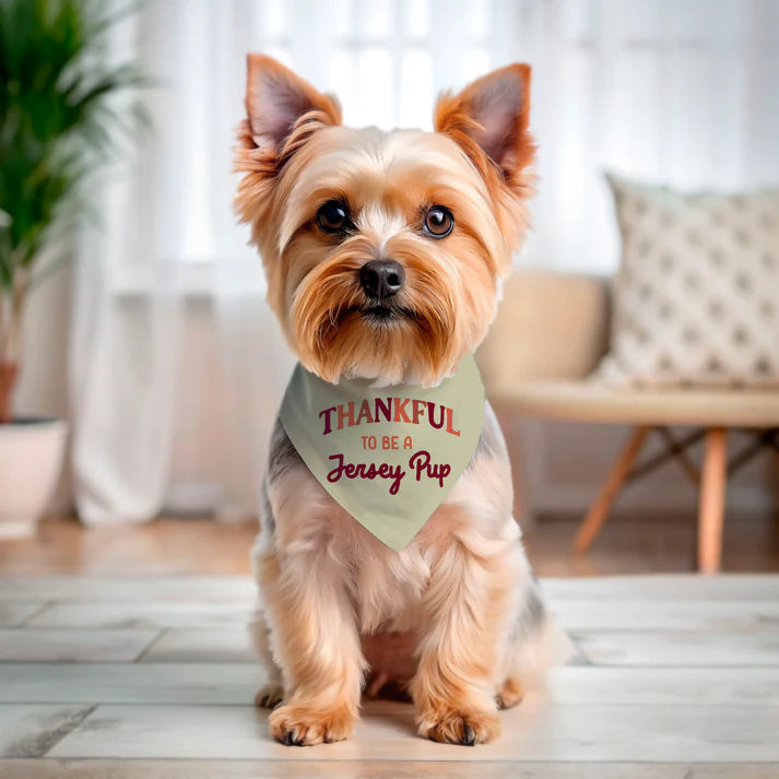 Holiday Jersey Dog Bandanas