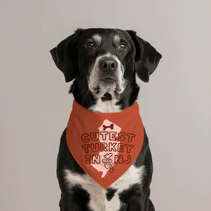 Holiday Jersey Dog Bandanas