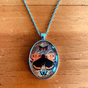 Butterfly Cabochon Pendant Necklace - Brown / 18 - Jewelry & Accessories