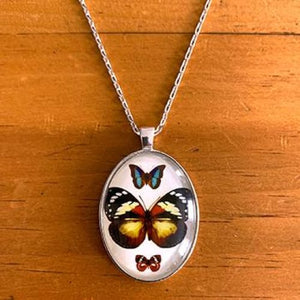 Butterfly Cabochon Pendant Necklace - White / 18 - Jewelry & Accessories