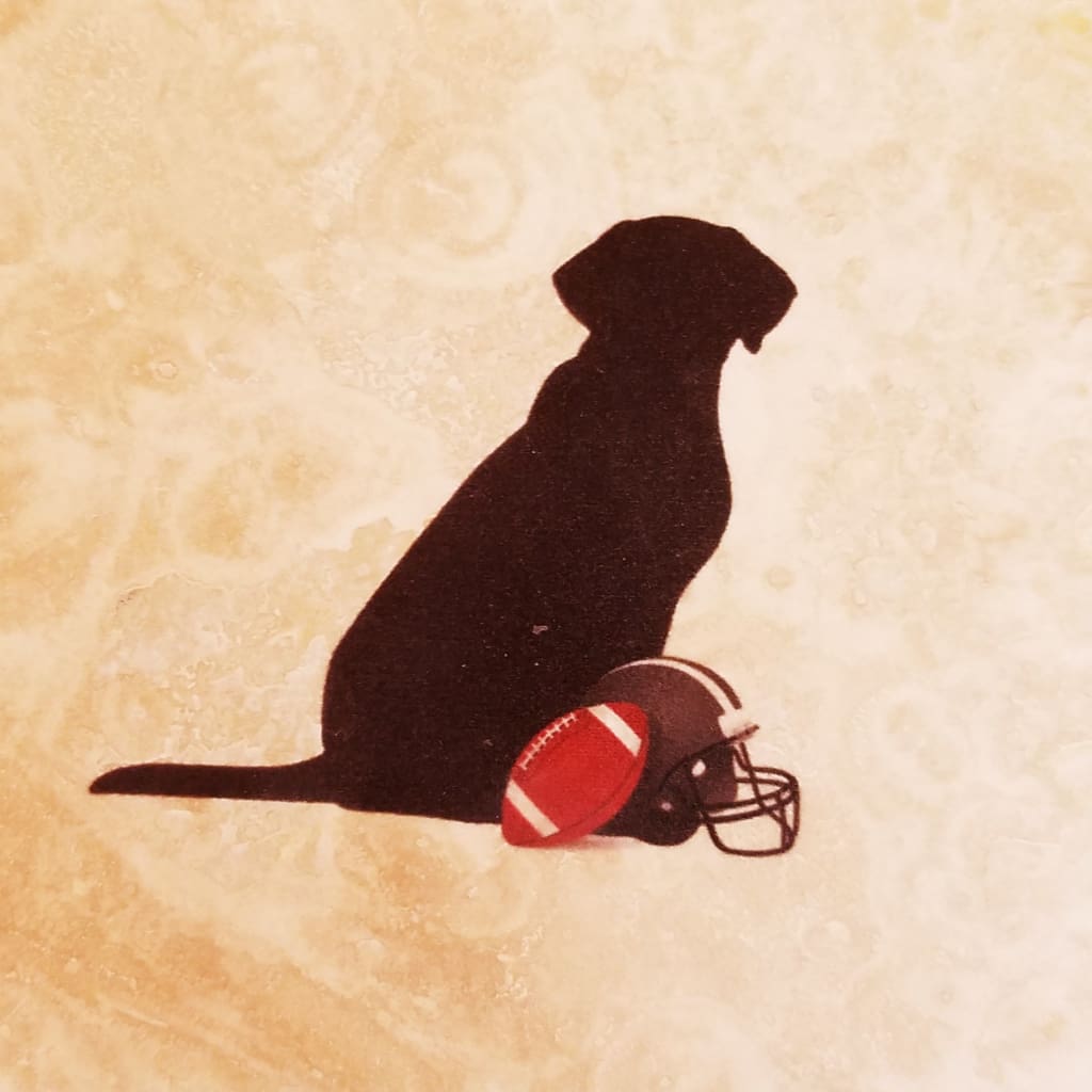 Cats &amp; Dogs Coasters - Lab football - Home &amp; Lifestyle