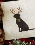 Holiday Coaster pet series - Home & Lifestyle