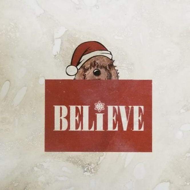 Holiday Coaster pet series - Doodle - Believe - Home &amp; Lifestyle