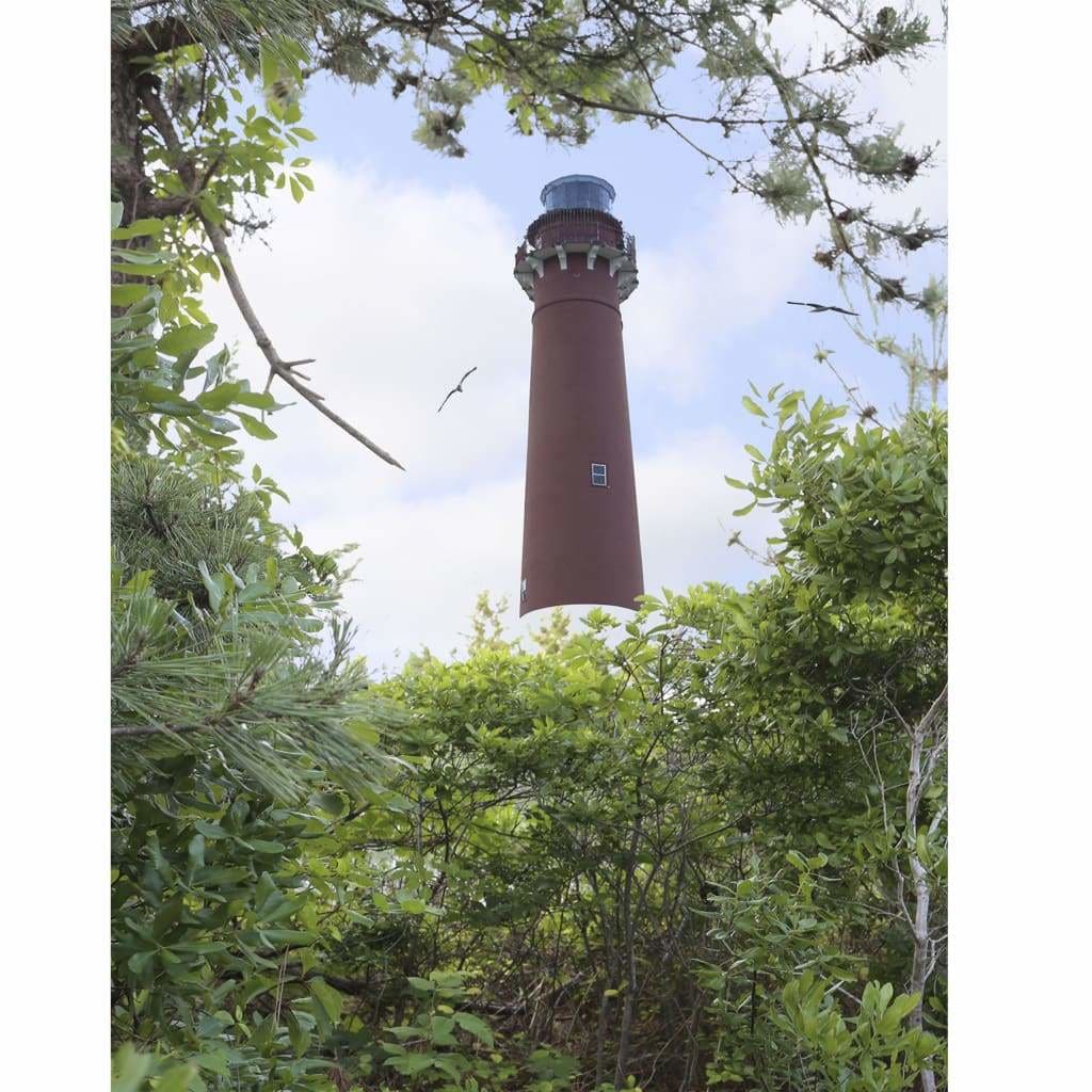 New Jersey Themed Jigsaw Puzzles - Barnegat Lighthouse - Books &amp; Cards