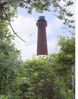 New Jersey Themed Jigsaw Puzzles - Barnegat Lighthouse - Books & Cards