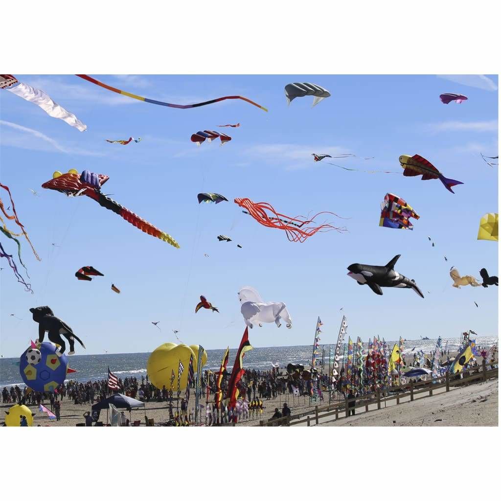 New Jersey Themed Jigsaw Puzzles - High Flying Kites - Books &amp; Cards