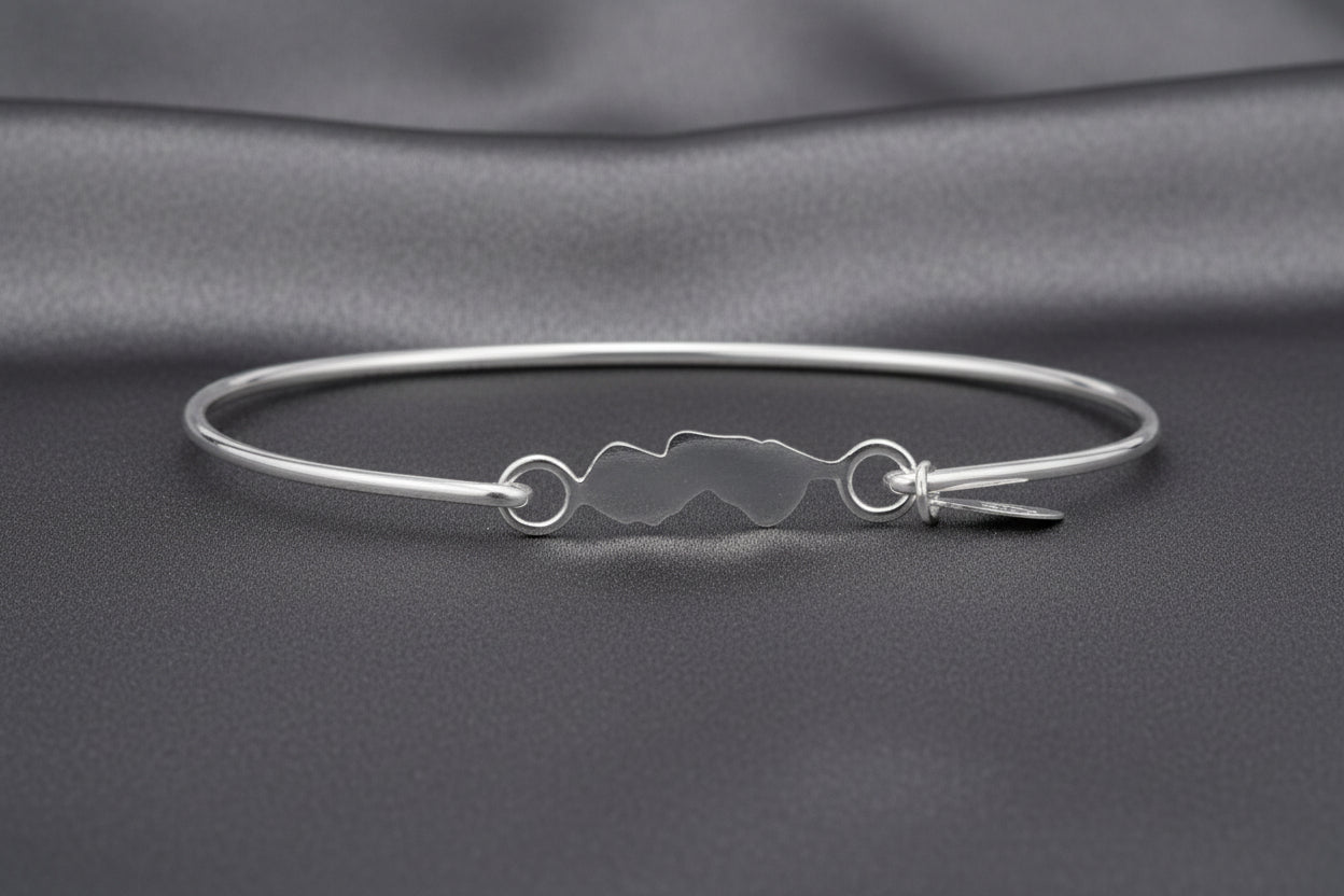 NJ Icon Bangle Bracelet - Silver - Jewelry & Accessories