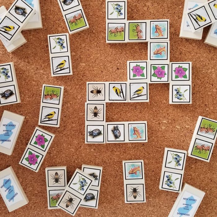 NJ Themed Dominoes Game