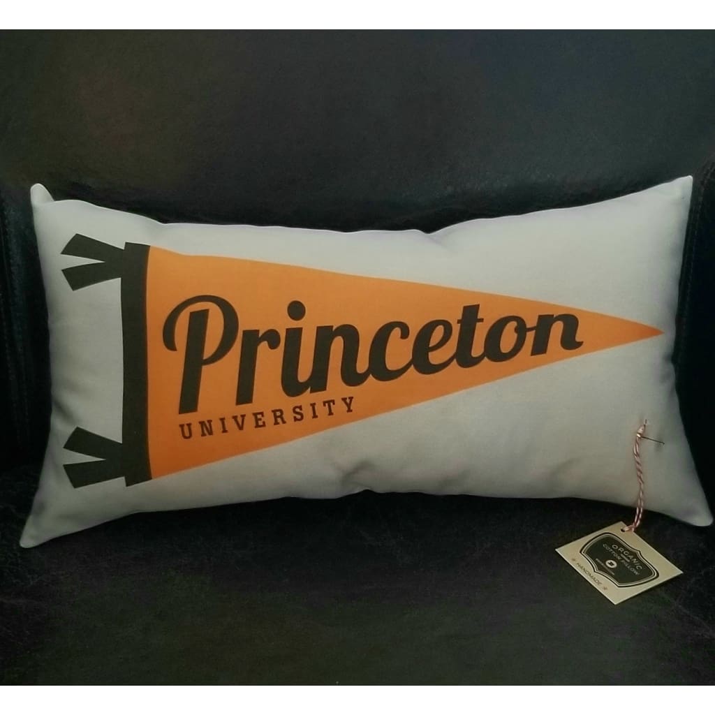 Pennant Pillow - Princeton - Home &amp; Lifestyle